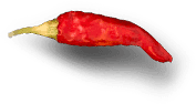 Slash Pizza